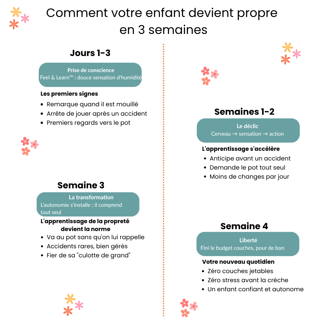 Culottes d'Apprentissage - Propre en 2-3 Semaines - 100% Coton Réutilisable - Enfilage Facile Dès 18 Mois